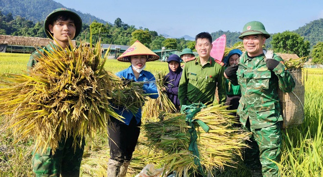 Công an, bộ đội dầm mưa giúp dân cứu lúa sau dông lốc ở Nghệ An
- Ảnh 1.
