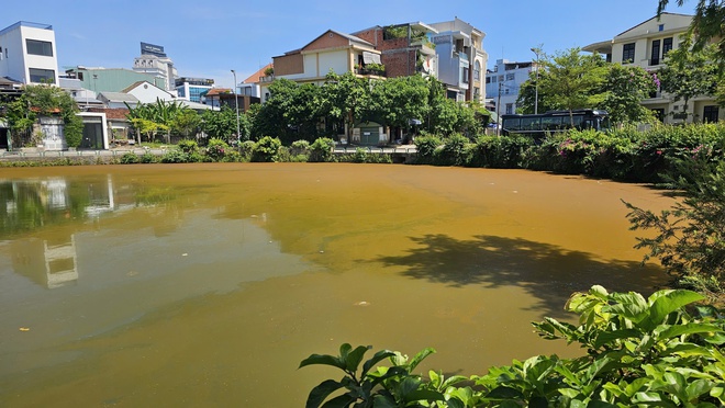 Mặt nước hồ Trái Tim ở Huế xuất hiện váng, đổi màu bất thường- Ảnh 3.