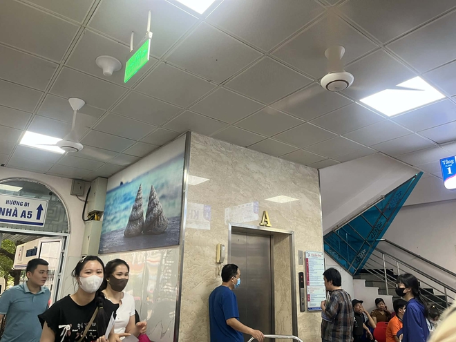 Những khoảng mát giữa bệnh viện ngày nắng nóng- Ảnh 9. Những khoảng mát giữa bệnh viện ngày nắng nóng- Ảnh 9.