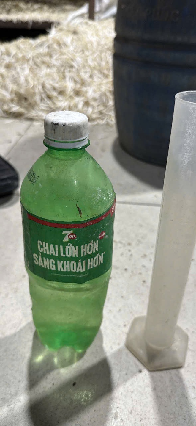 Hơn 1.000 tấn giá đỗ ngâm 'nước kẹo' tuồn vào các chợ, quán ăn ở Bình Thạnh, Gò Vấp cũ- Ảnh 3. Hơn 1.000 tấn giá đỗ ngâm 'nước kẹo' tuồn vào các chợ, quán ăn ở Bình Thạnh, Gò Vấp cũ- Ảnh 3.