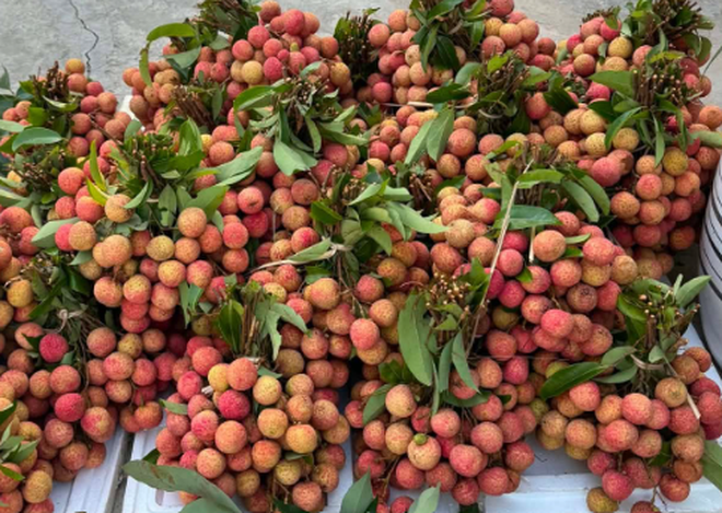 Tết Đoan Ngọ: Nhiều gia đình chọn mâm cúng tối giản, vừa đủ giữ nét truyền thống- Ảnh 6. Tết Đoan Ngọ: Nhiều gia đình chọn mâm cúng tối giản, vừa đủ giữ nét truyền thống- Ảnh 6.