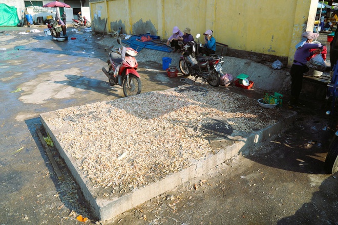Rác thải bủa vây khu neo đậu tàu thuyền ven biển Nghệ An- Ảnh 9.