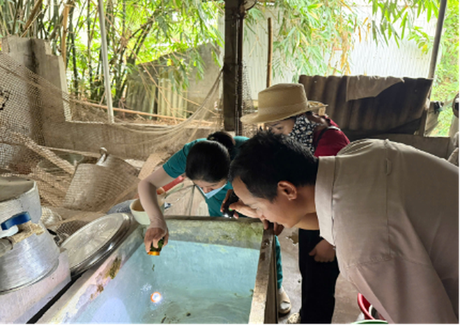 Sốt xuất huyết tại Huế tăng, ngành y tế cảnh báo bước vào cao điểm dịch- Ảnh 2.
