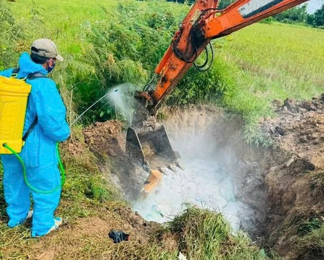 Nghệ An khẩn trương dập dịch H5N1, tiêu hủy 17.000 con gia cầm- Ảnh 6.
