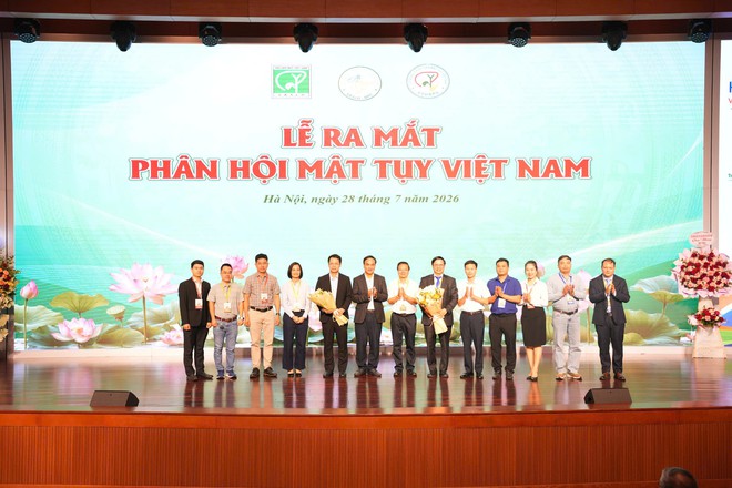 Hơn 6 triệu người Việt mắc viêm gan B mạn tính, cảnh báo nguy cơ ung thư gan - Ảnh 4.
