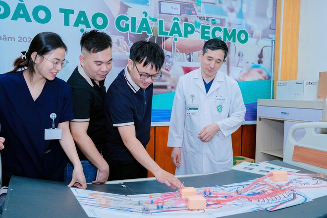ECMO cứu sống khoảng 1.000 bệnh nhân mỗi năm tại Việt Nam- Ảnh 3.
