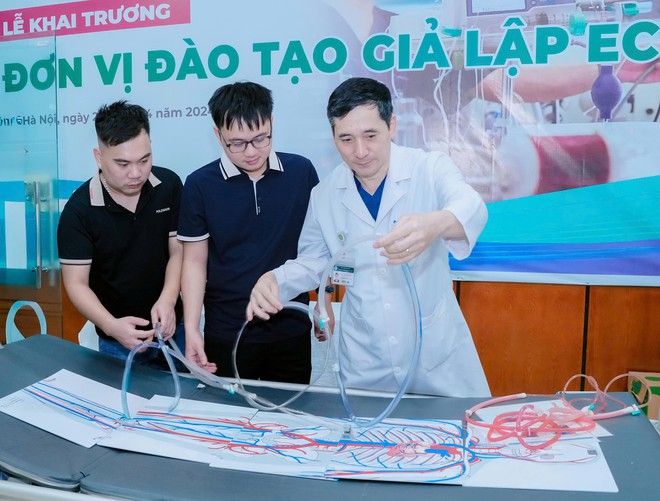 ECMO cứu sống khoảng 1.000 bệnh nhân mỗi năm tại Việt Nam- Ảnh 4.