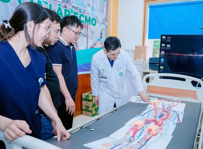 ECMO cứu sống khoảng 1.000 bệnh nhân mỗi năm tại Việt Nam- Ảnh 2.