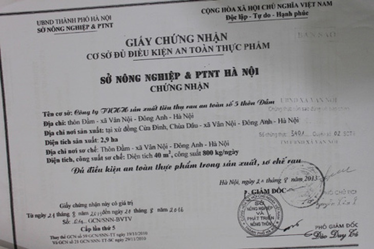 Hàng ngày vẫn mua rau bẩn, rau không rõ nguồn gốc cho siêu thị, trường học nhưng cơ sở của anh Bình vẫn được Sở NN&PTNT cấp giấy chứng nhận đủ điều kiện an toàn thực phẩm trong sản xuất, sơ chế rau. 