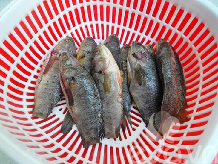 Thơm ngon xôi cá rô đồng bữa sáng - 1