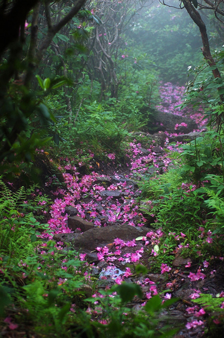 amazing-paths-3-1622-1419652552.jpg