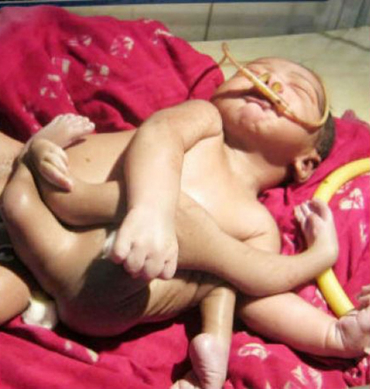 baby-9846-1416364635.jpg
