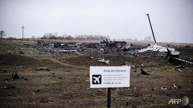 Hiện trường máy bay MH17 ở ngôi làng Hrabove, miền đông Ukraine ngày 7.11 - Ảnh: AFP