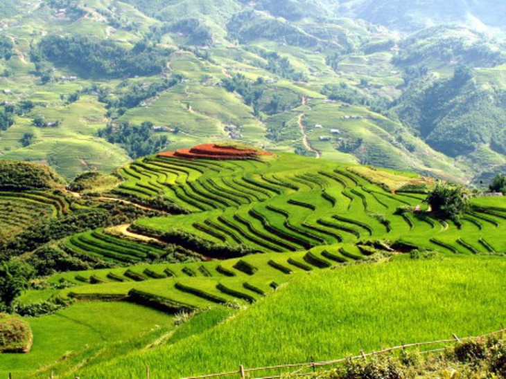 Ruộng bậc thang Sa Pa