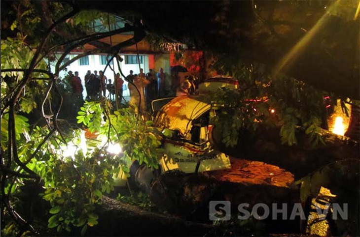 Cây đổ đè bẹp taxi