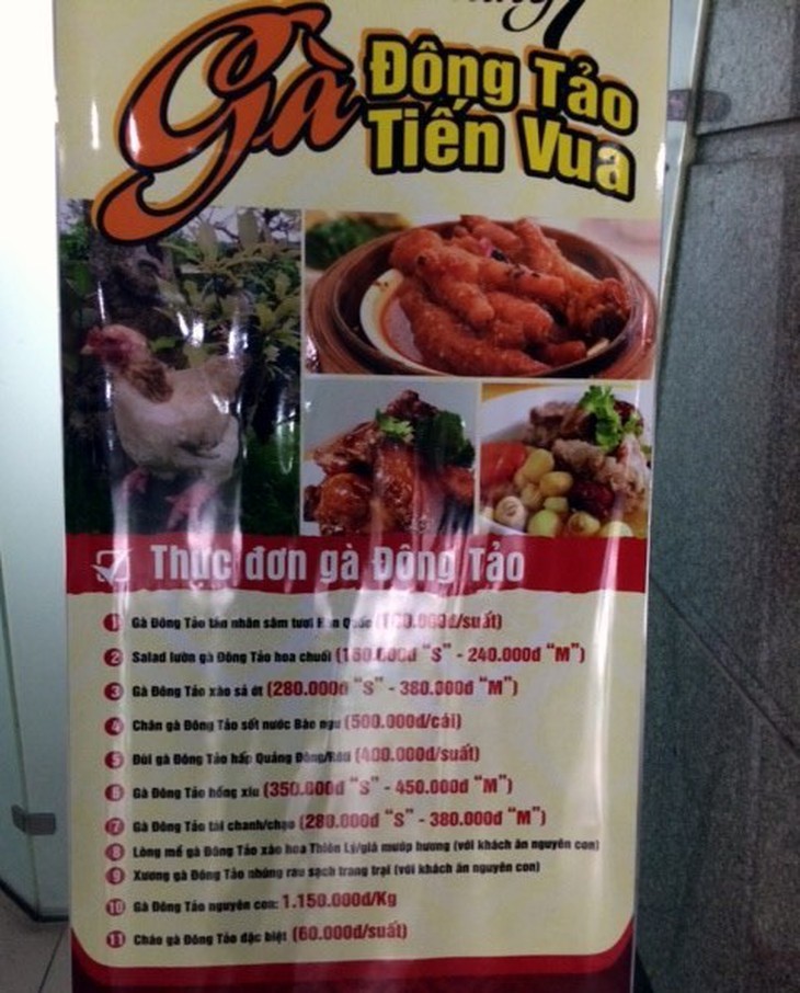 13. Gần đây nhất, vào đầu tháng 7/2014 thực đơn mới của nhà hàng H.C2 (Nguyễn Chí Thanh, Hà Nội) làm không ít người tròn mắt. Thịt gà Đông Tảo giá hơn 1,1 triệu/kg, chân gà Đông Tảo giá 500.000 đồng/chiếc...