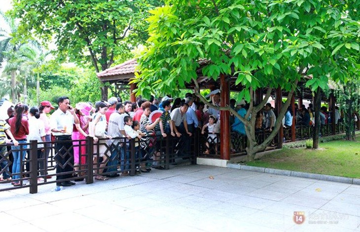 Hàng nghìn người xếp hàng vào viếng Lăng Chủ tịch Hồ Chí Minh nhân kỉ niệm Sinh nhật Người 15