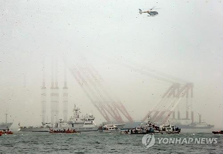 Ba cần cẩu 3.600 tấn hôm nay tới hiện trường để hỗ trợ trục vớt phà. Ảnh: Yonhap.