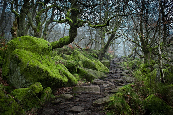 amazing-paths-4-2454-1419652552.jpg