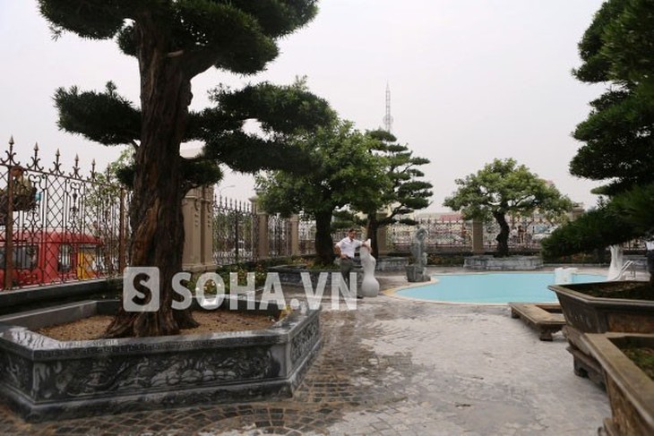 Nhập mô tả cho ảnh