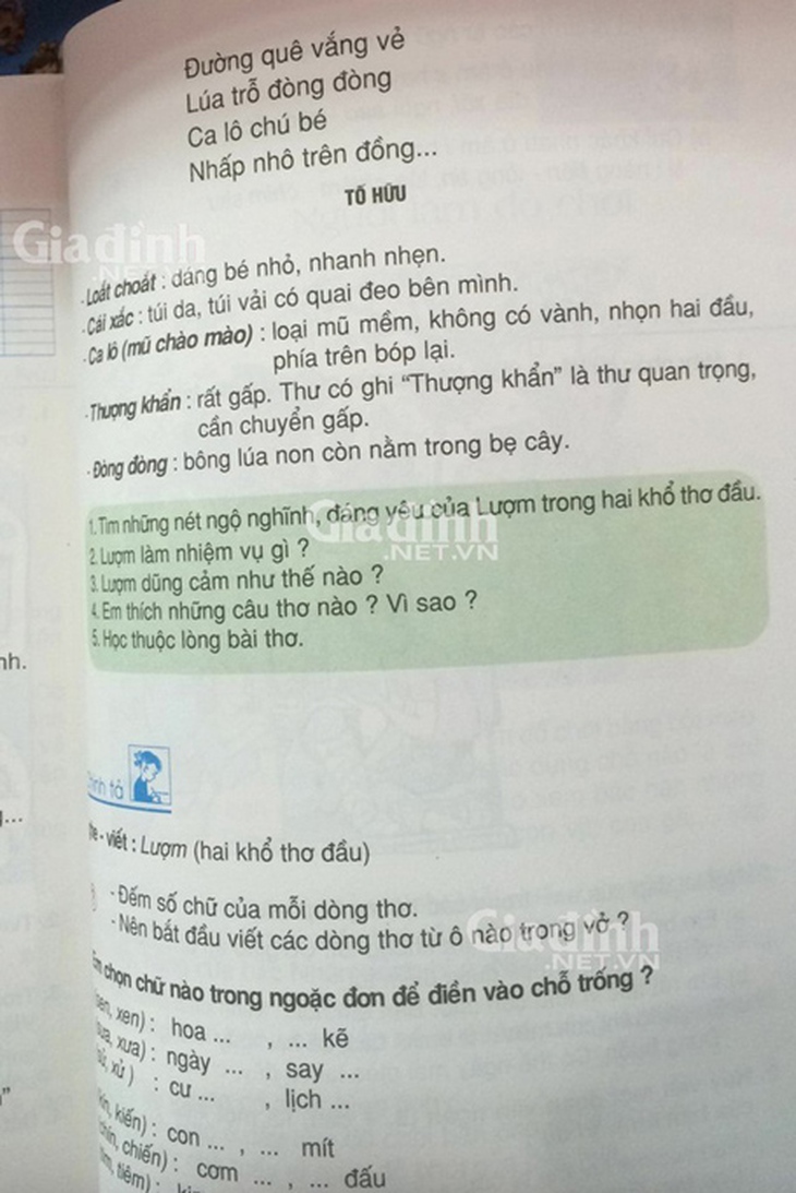 Sai dấu nghiêm trọng trong câu thơ Lúa trổ đòng đòng
