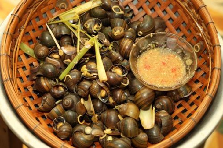 Ốc đồng.