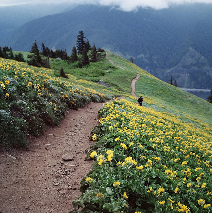 amazing-paths-6-1888-1419652552.jpg