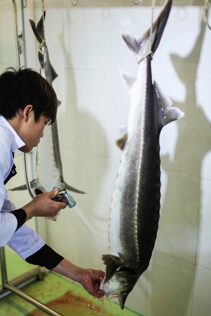 Nhập mô tả cho ảnh