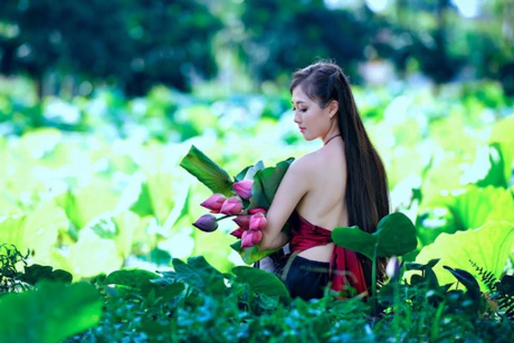 Một số đầm sen quanh Hà Nội cũng long lanh không kém.