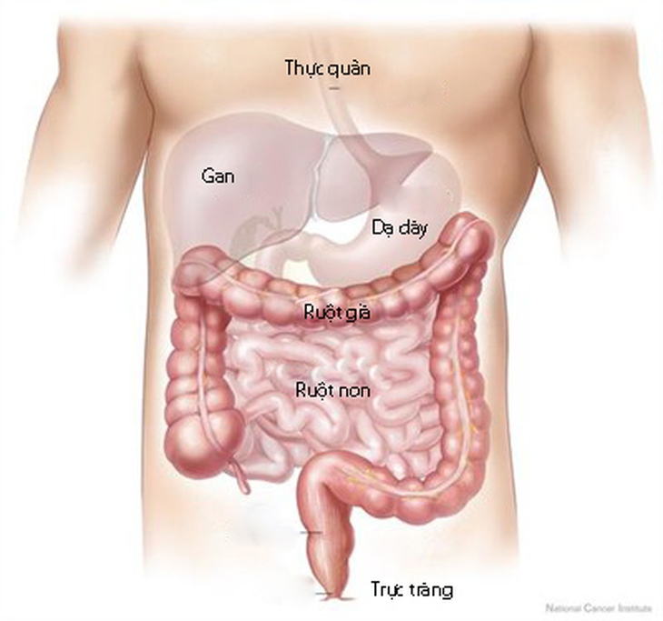 Nhu động ruột kém thường gây khó chịu sau ăn.