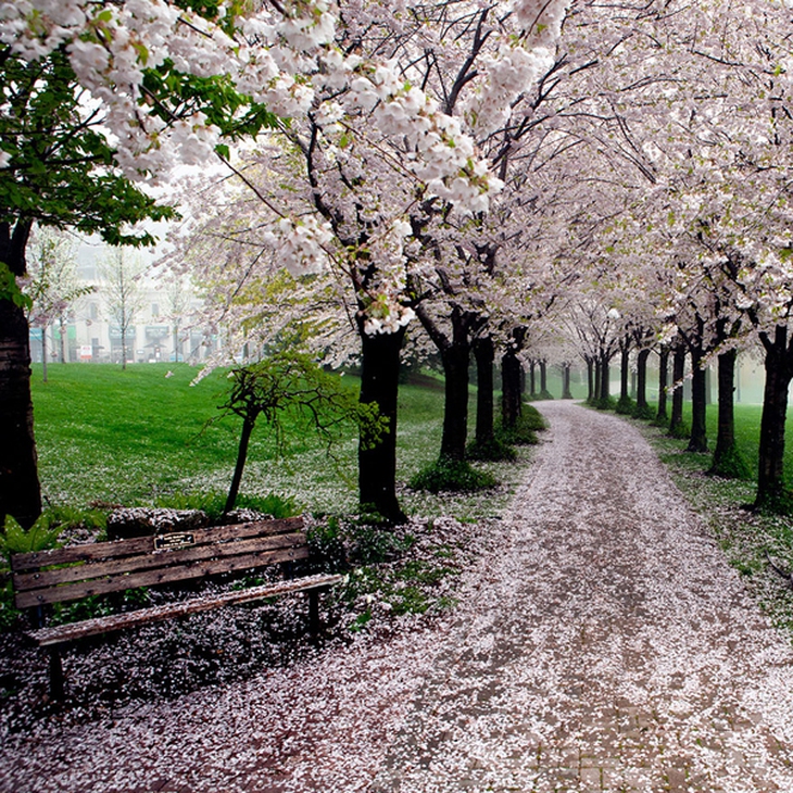 amazing-paths-9-2067-1419652552.jpg