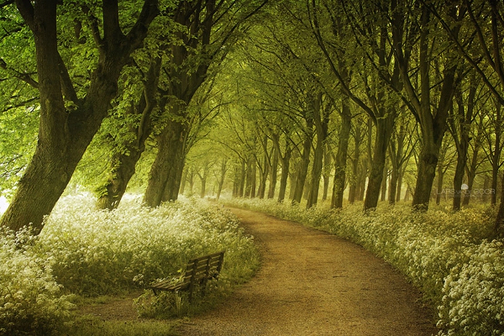 amazing-paths-19-6276-1419652552.jpg