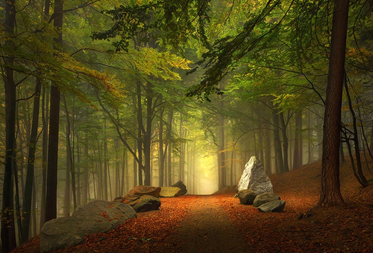 amazing-paths-25.jpg