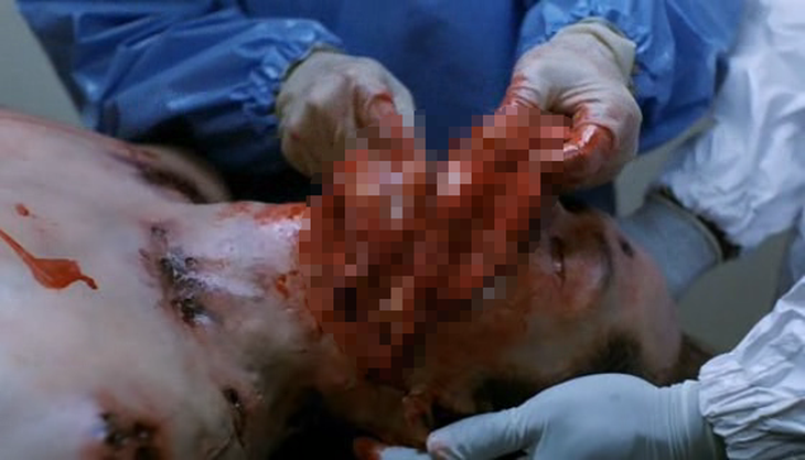 Rợn người hình ảnh chết chóc ở tâm đại dịch Ebola 5