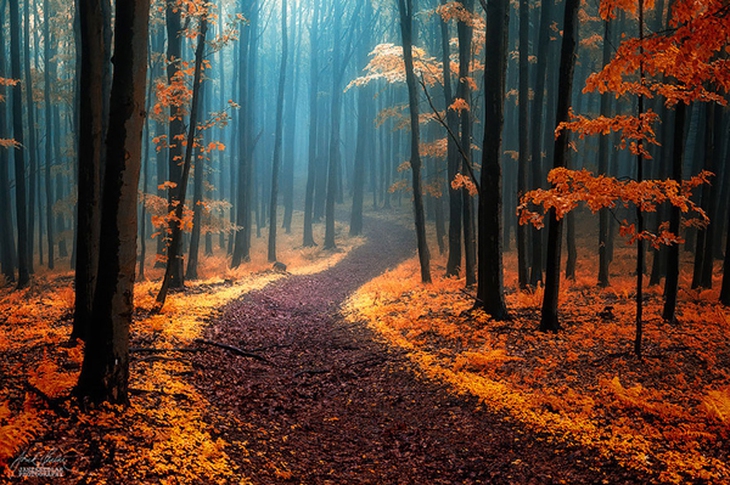 amazing-paths-23-6550-1419652552.jpg