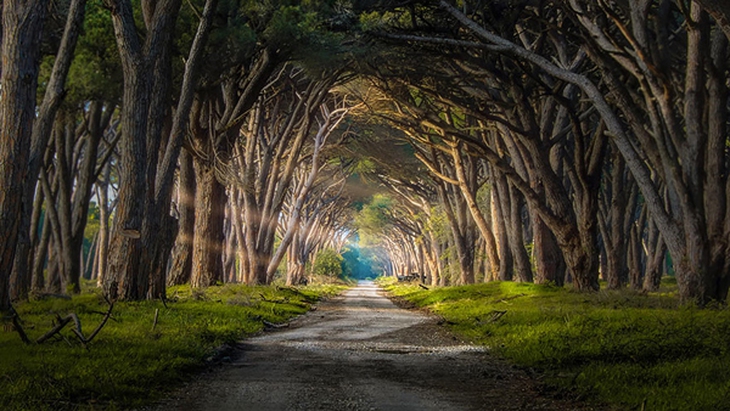 amazing-paths-26.jpg
