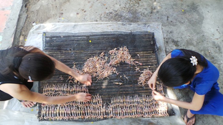 Để có nguồn nhái tươi, dân soi nhái phải lặn lội qua tận Hà Tiên (Kiên Giang)&nbsp;để soi nhái