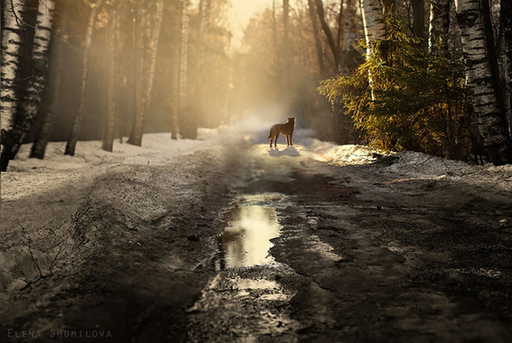 amazing-paths-27.jpg