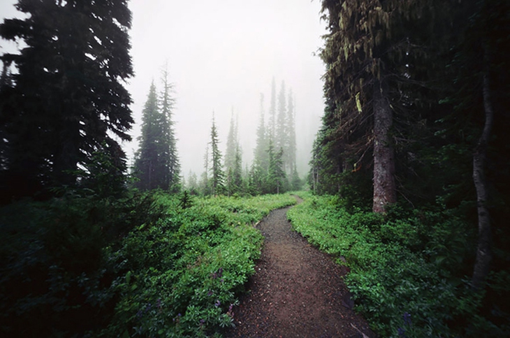 amazing-paths-34.jpg