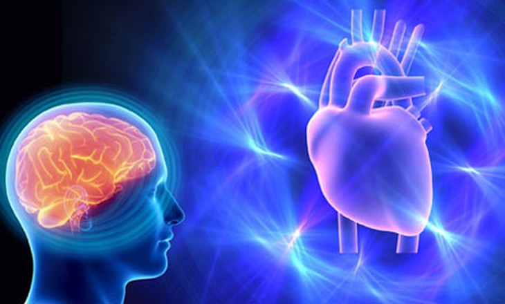  	Ăn nhiều chất béo không tan có thể làm tăng nguy cơ gây bệnh tim mạch và tai biến mạch máu não.