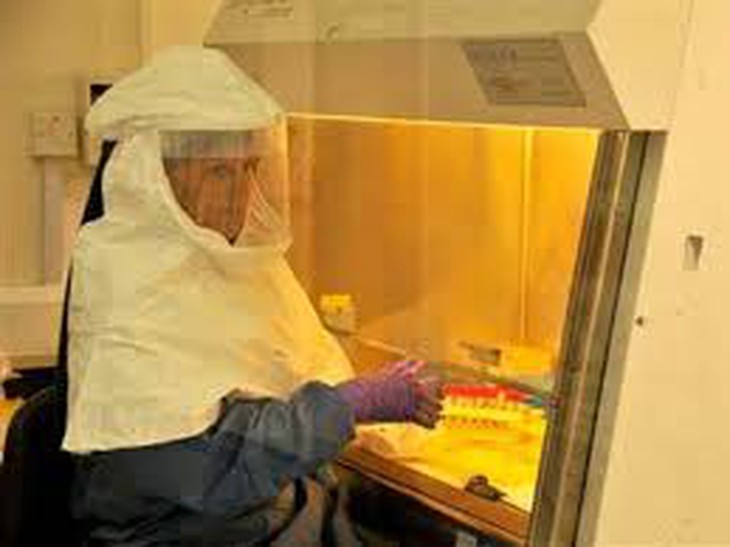 Chủng Ebola ở Congo hoàn toàn khác biệt với chủng Ebola ở Tây Phi