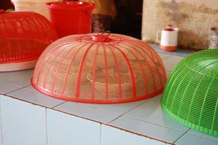 Dùng lồng bàn đậy thức ăn, tránh ruồi nhặng làm lây bệnh