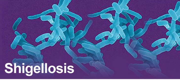 Vi khuẩn Shigella gây bệnh lỵ trực khuẩn