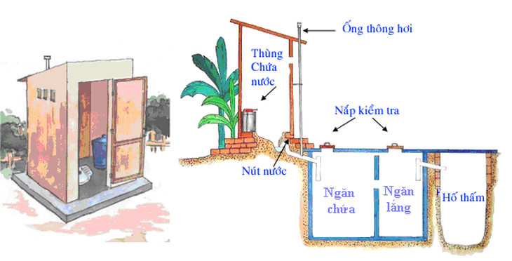Bể phốt chứa nước thải và hố thấm nước thải là chỗ không ngờ muỗi sinh sản (ảnh minh họa).