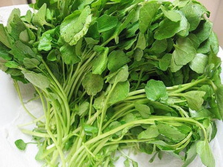 rau cải xoong