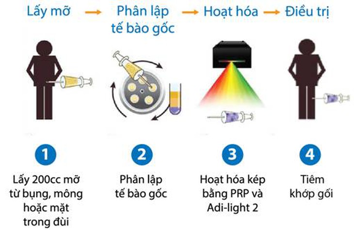  	Qui trình phân tách, hoạt hóa và sử dụng tế bào gốc mô mỡ tự thân: