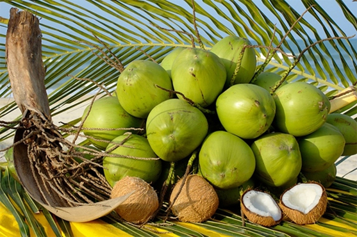 dừa thanh nhiệt