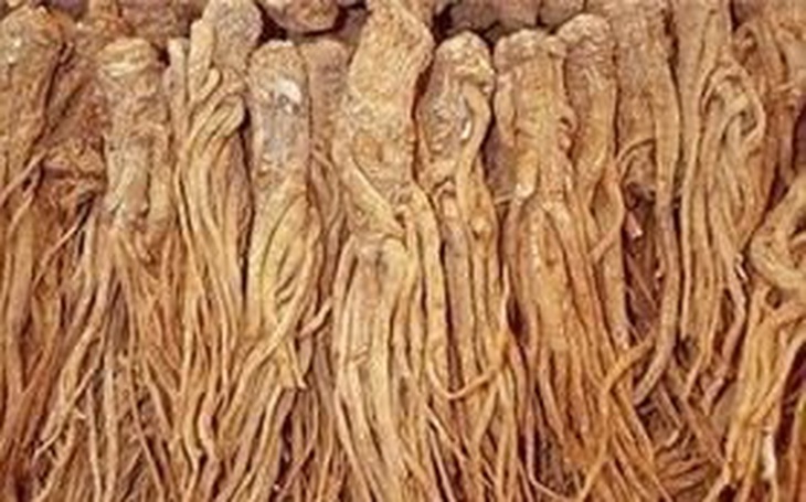 Đương quy