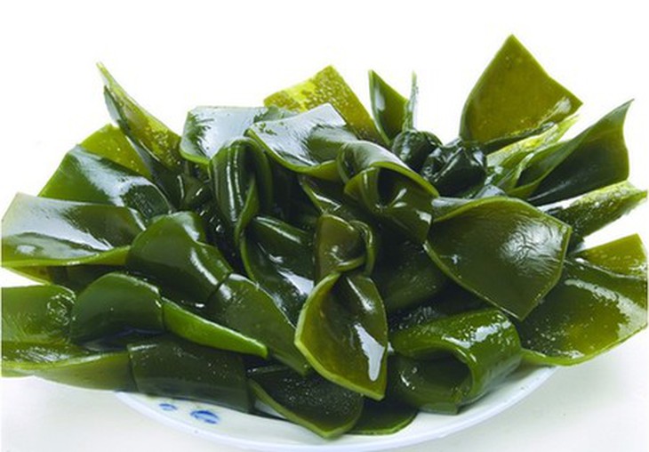 Côn bố là một loại tảo dẹt ở biển.