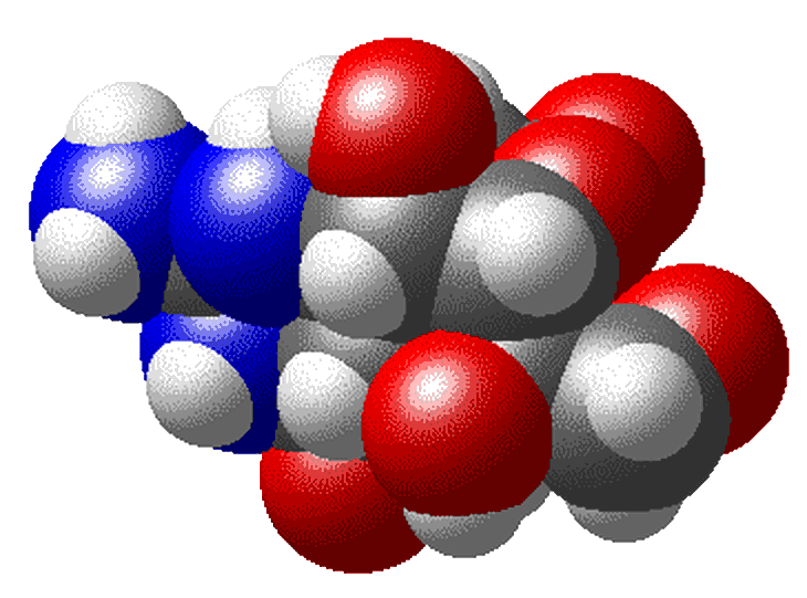 Cấu trúc phân tử chất độc tetrodotoxin